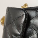 Chanel Flap Bag (Шанель) — фото 18