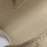 Chanel Quilted Calfskin CC Shoulder Bag (Шанель) — фото 17