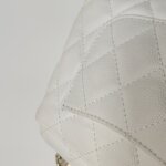 Chanel Coco Handle (Шанель) — фото 15