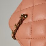 Chanel Vanity Case (Шанель) — фото 14