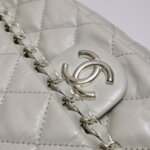 Chanel Flap Bag (Шанель) — фото 14