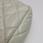 Chanel Flap Bag (Шанель) — фото 22