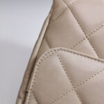Chanel Quilted Waxed Calfskin CC Shoulder Bag (Шанель) — фото 18