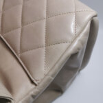 Chanel Quilted Waxed Calfskin CC Shoulder Bag (Шанель) — фото 25