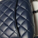 Chanel Classic Flap (Шанель) — фото 19