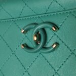 Chanel Quilted Calfskin CC Crossbody (Шанель) — фото 15
