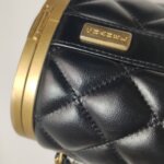 Chanel Quilted Lambskin CC Crossbody (Шанель) — фото 16