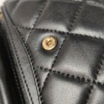 Chanel Quilted Lambskin CC Shoulder Bag (Шанель) — фото 12