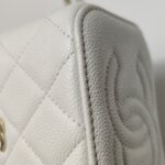 Chanel Vanity Case (Шанель) — фото 21