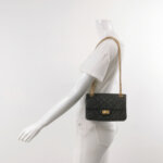 Chanel 2.55 Flag Bag (Шанель) — фото 2