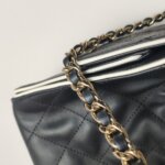 Chanel 25 Bag — фото 14