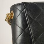 Chanel Flap Bag (Шанель) — фото 14