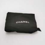 Chanel 22Bag (Шанель) — фото 10