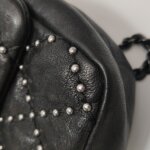 Chanel Classic Flap (Шанель) — фото 19