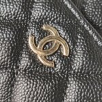 Chanel Quilted Calfskin CC Belt Bag (Шанель) — фото 10