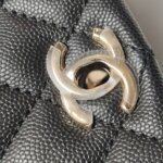 Chanel Coco Handle (Шанель) — фото 13