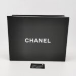 Chanel 19Bag (Шанель) — фото 9