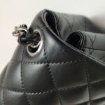 Chanel Classic Flap (Шанель) — фото 20