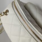 Chanel Quilted CC Backpack (Шанель) — фото 23