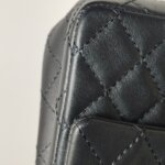 Chanel 2.55 Flag Bag (Шанель) — фото 17
