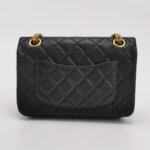 Chanel 2.55 Flag Bag (Шанель) — фото 5