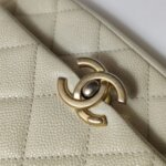 Chanel Quilted Calfskin CC Belt Bag (Шанель) — фото 14