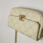 Chanel Quilted Calfskin CC Belt Bag (Шанель) — фото 24