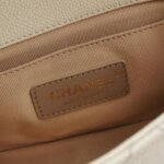 Chanel Quilted Calfskin CC Belt Bag (Шанель) — фото 8