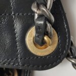 Chanel 25 Bag (Шанель) — фото 16