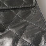 Chanel 25 Bag (Шанель) — фото 19