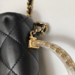 Chanel Flap Bag (Шанель) — фото 14