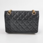 Chanel 2.55 Flag Bag (Шанель) — фото 5