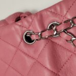 Chanel Flap Bag (Шанель) — фото 15