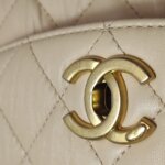 Chanel Quilted Lambskin CC Crossbody (Шанель) — фото 15