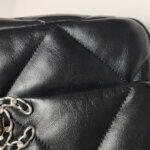 Chanel 19Bag (Шанель) — фото 19