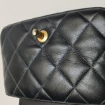 Chanel Classic Flap (Шанель) — фото 25