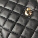 Chanel Classic Flap (Шанель) — фото 12