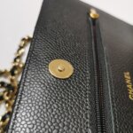 Chanel WOC (Шанель) — фото 10