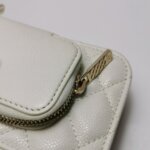 Chanel Quilted Calfskin Crossbody (Шанель) — фото 9