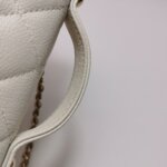 Chanel Quilted Calfskin Crossbody (Шанель) — фото 10