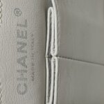 Chanel 2.55 Flag Bag (Шанель) — фото 10
