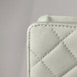 Chanel Flap Bag (Шанель) — фото 25