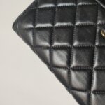 Chanel WOC (Шанель) — фото 22