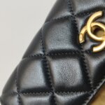 Chanel Quilted Lambskin Crossbody (Шанель) — фото 21