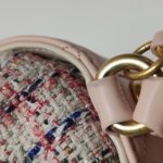 Chanel Quilted Calfskin Crossbody (Шанель) — фото 15