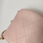 Chanel Quilted Calfskin Crossbody (Шанель) — фото 16