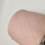 Chanel Quilted Calfskin Crossbody (Шанель) — фото 17
