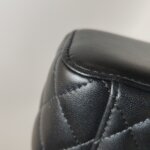 Chanel Vanity Case (Шанель) — фото 17