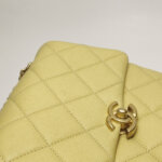 Chanel Quilted Calfskin CC Backpack (Шанель) — фото 15