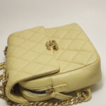 Chanel Quilted Calfskin CC Backpack (Шанель) — фото 19